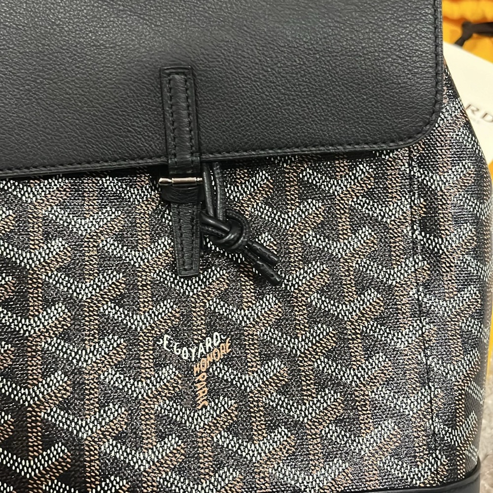 Goyard Alpin Mini backpack - Picture 8 of 17